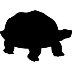 Turtle silhouette