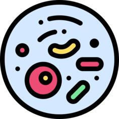 Bacteria