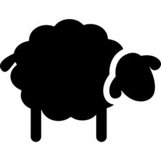 Black sheep