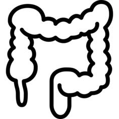 Colon