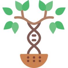 Family tree