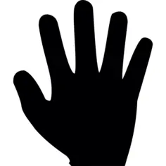 Five fingers