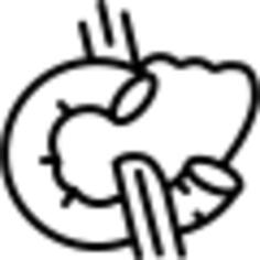 Pancreas