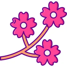 Cherry blossom