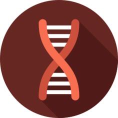 Dna
