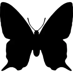 Butterfly insect animal shape