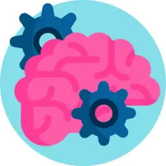 Brain