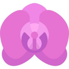 Orchid