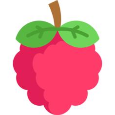 Raspberries