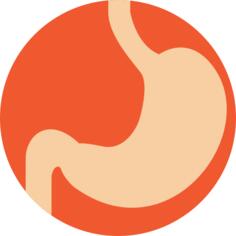 Stomach