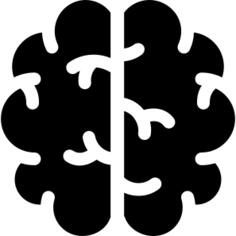 Brain