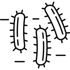 Three Bacteria