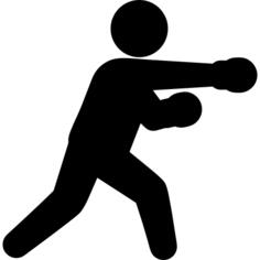 Boxing Fighter
