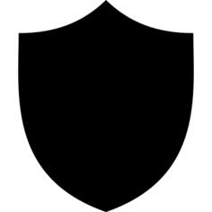 Computer Security Shield