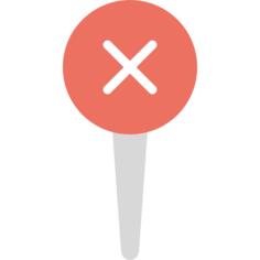 Pin