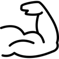 Muscular gymnast arm muscles show