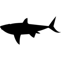 Shark shape