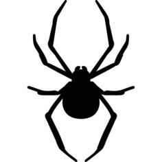 Spider arthropod animal silhouette