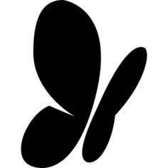 Msn