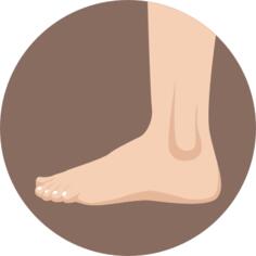 Foot