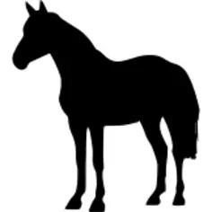 Horse standing black shape