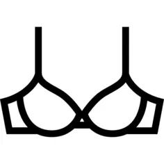 Bra