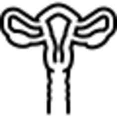 Uterus