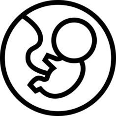 Fetus