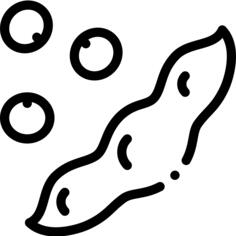 Soy
