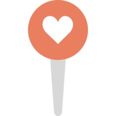 Pin