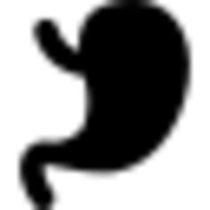 Stomach shape