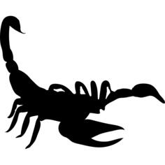 Scorpion shape