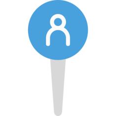 Pin