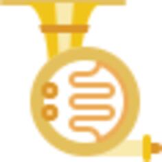 French horn