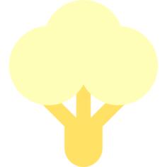 Cauliflower