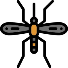 Mosquito