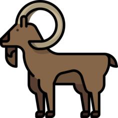 Goat