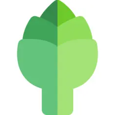 Artichoke