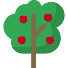 Apple tree