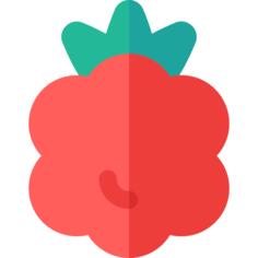 Raspberry