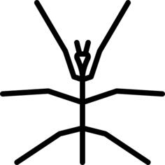 Stick Insect