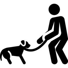 Dog training