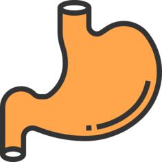 Stomach