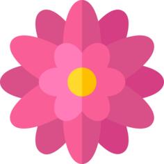 Chrysanthemum