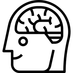 Brain