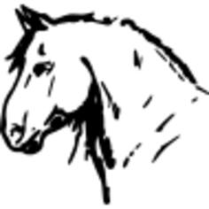 Horse head drawing facing the left direction