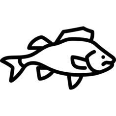 Big Perch