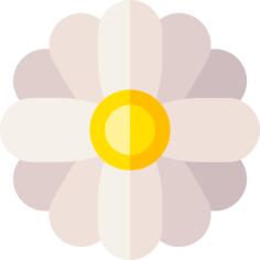Chamomile