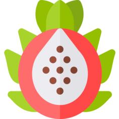 Pitaya