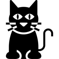 Black cat